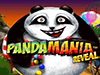 Pandamania reveal